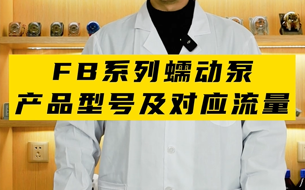 FB系列蠕動(dòng)泵產(chǎn)品型號及對應(yīng)流量