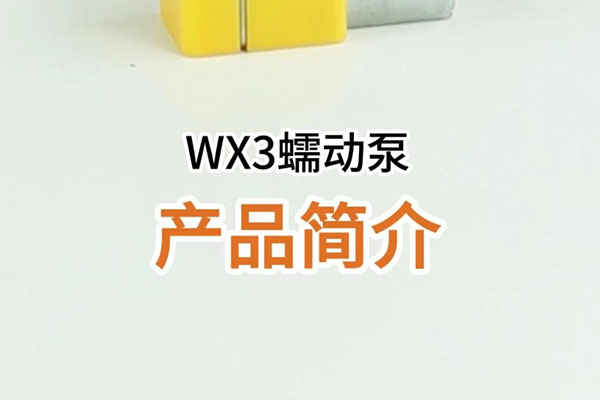 WX3蠕動(dòng)泵產(chǎn)品簡介